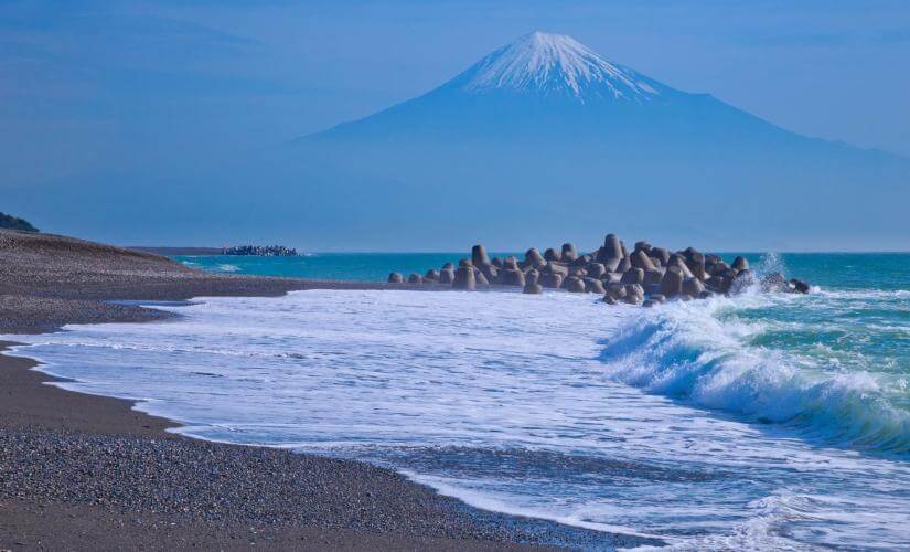 Private Shimizu Sightseeing and Views of Mount Fuji