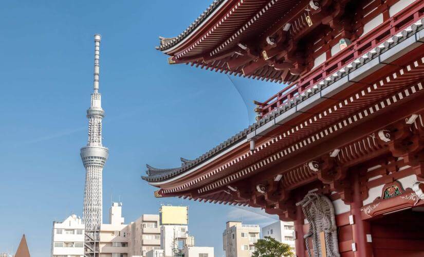 Biking Tokyo and Edo Museum Visit with Lunch (Hotel Guests)