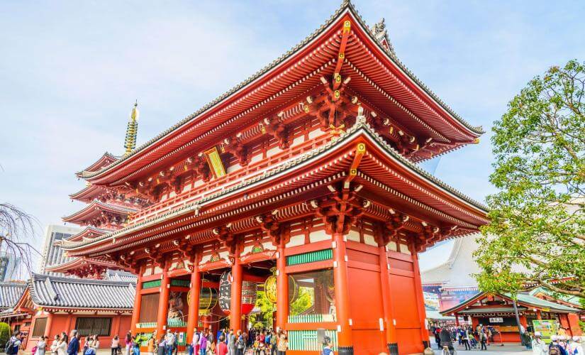 Walk to Asakusa Temple with Matcha and Monjayaki Cooking Class (Hotel Guests)