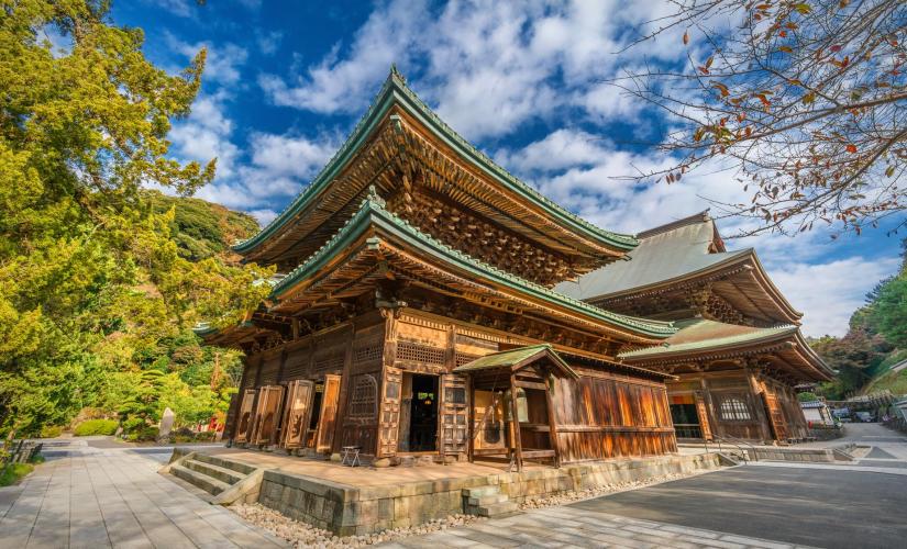 Buddha, Temple and Train Private Tour