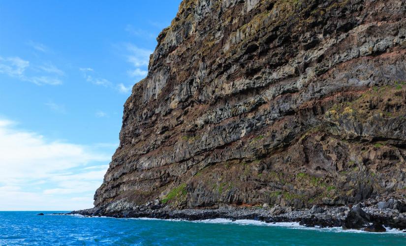 Akaroa Harbor and Wildlife Tour (Nikau Palm Gully , Scenery Nook)