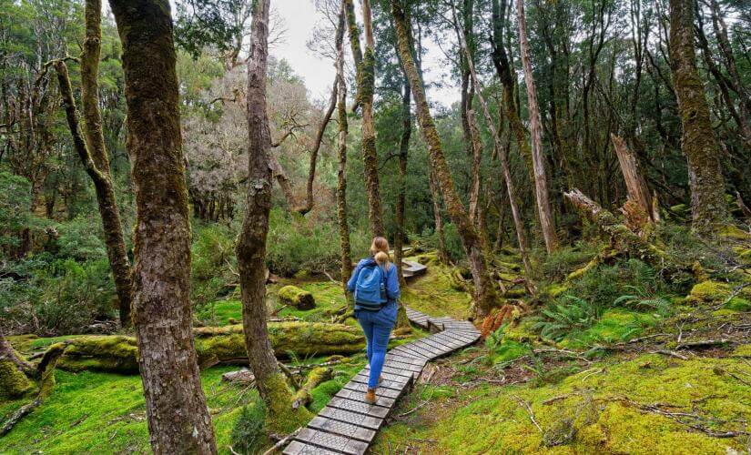 Cradle Mountain Day Trip