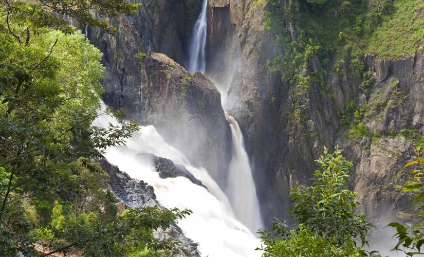 Private Rain Forest Tour Australia