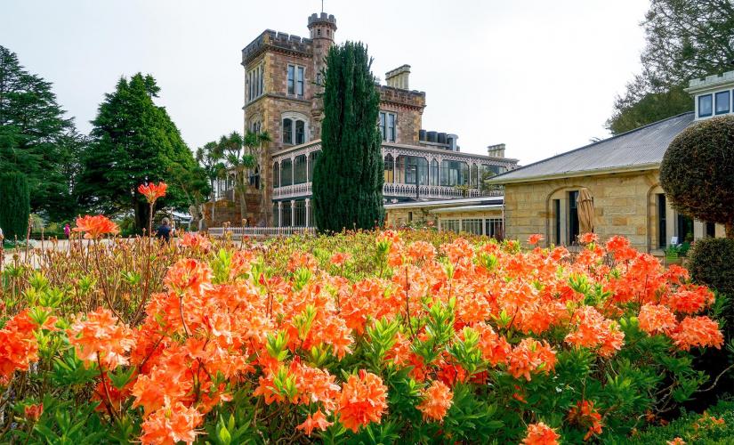Dunedin City, Castle, and Chinese Gardens