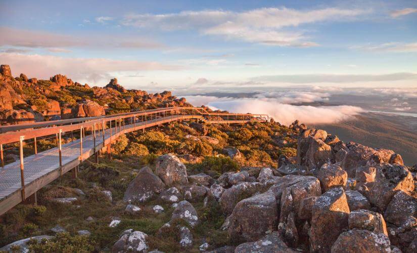 Hobart's Natural Highlights, Aussie Wildlife, and Wine with Lunch