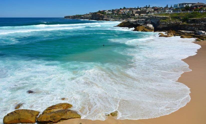 Sydney City Marvels, Harbour Highlights, and Bondi Beach