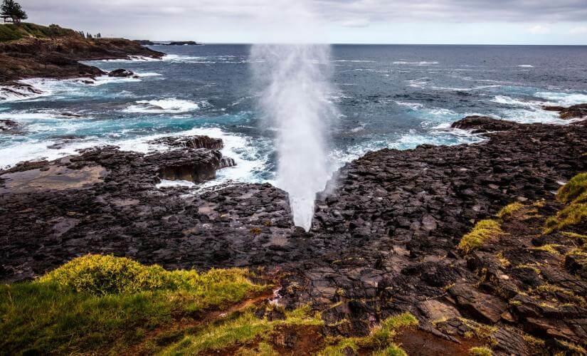 Post Cruise Sea Cliff, Southern Highlands, Waterfalls, and Wine