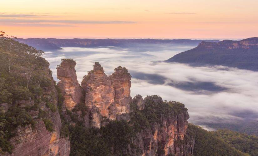 Private Panoramic Blue Mountains with Australian Wildlife Park Visit