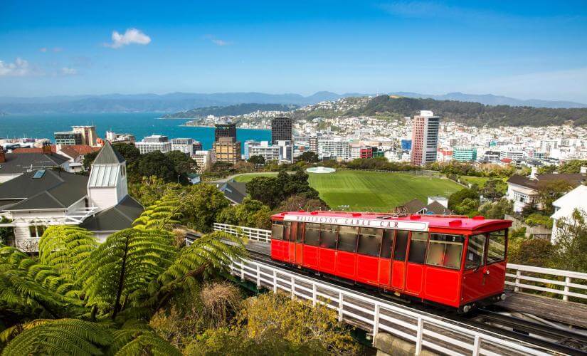 Best of Wellington Coastal Highlights