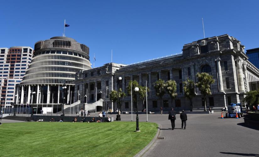 Half Day in Wellington