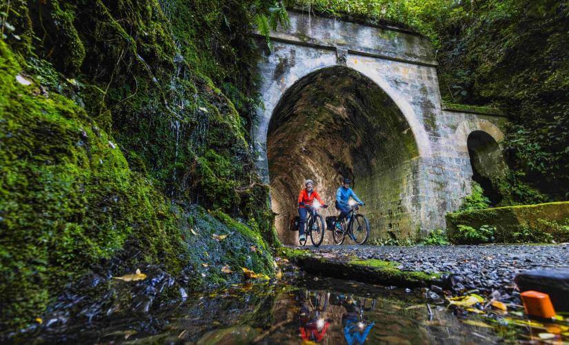 Remutaka Rail Trail E-Bike Exploration