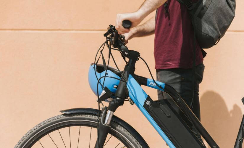 Coastal Wellington E-Bike Adventure