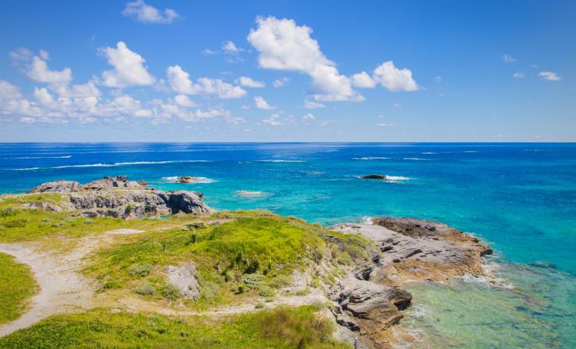 Bermuda Eco Tour