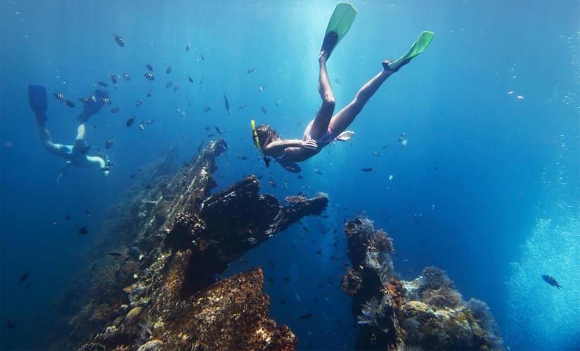 Bermuda Shipwreck Snorkel Tour