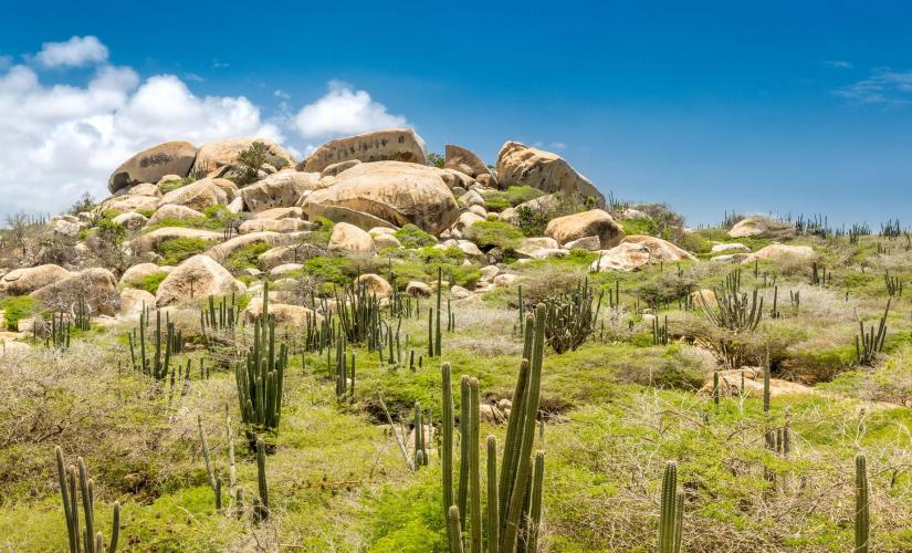 Three Port Best of Aruba, Barbados and St. Kitts
