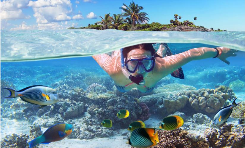 Private Snorkel Adventure