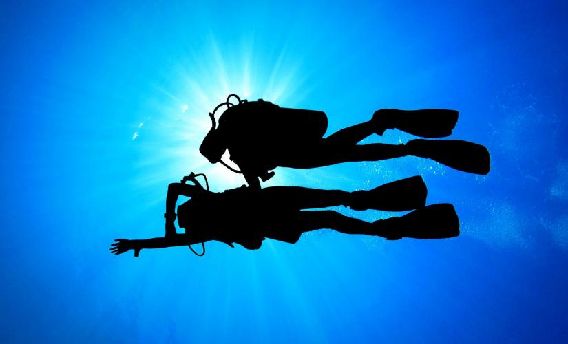 Two Tank Certified Scuba Dive Tour in Aruba (Antilla Wreck)