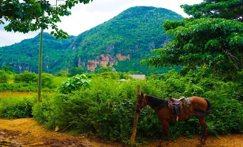 Puerto Plata's Historic Town & Dominican Countryside Culture from Amber Cove