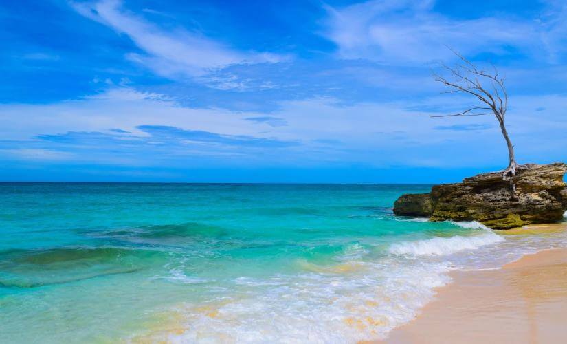 Best of Bimini, Grand Turk, and Puerto Plata Three Port Package