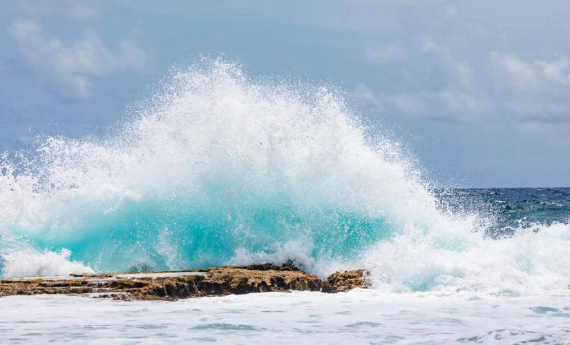 Small Group Bonaire Cultural and Indian Inscriptions Experience