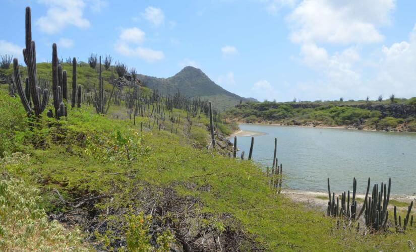 Small Group Mount Brandaris and Washington Park Hike