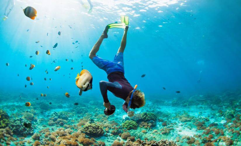Private Snorkel and Beach Hopping