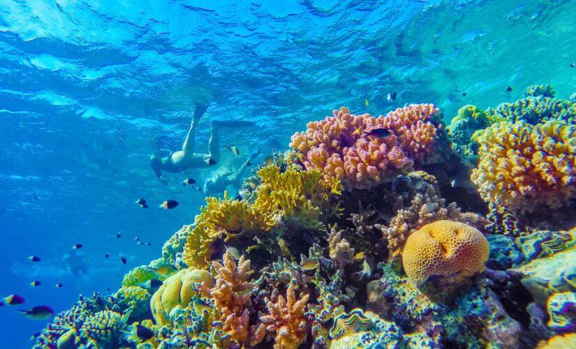 Luxury Bonaire Sail and Snorkel