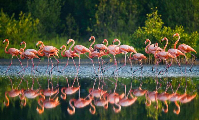 Full Island Sightseeing Tour