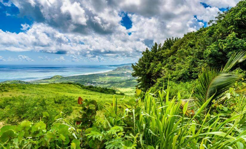 Bajan Highlights, Rihanna Drive Stop, Swim and Snorkel with Lunch