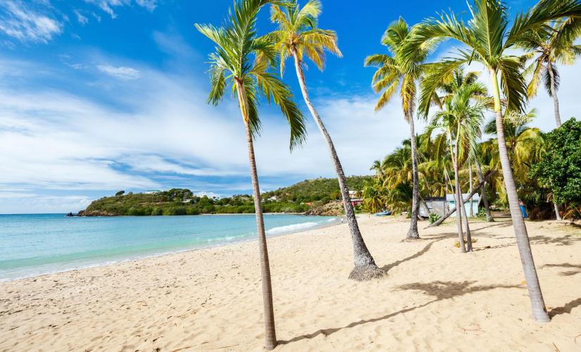Best of Bridgetown, Basseterre, and Tortola Three Port Package