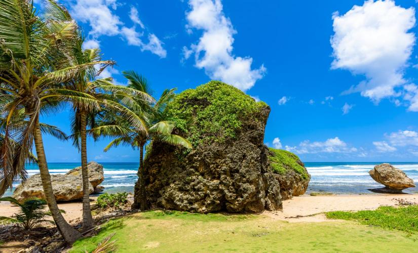 Private Highlights of Barbados  (Liang Zuiderdam Group 2026)