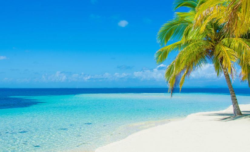 Beach and City