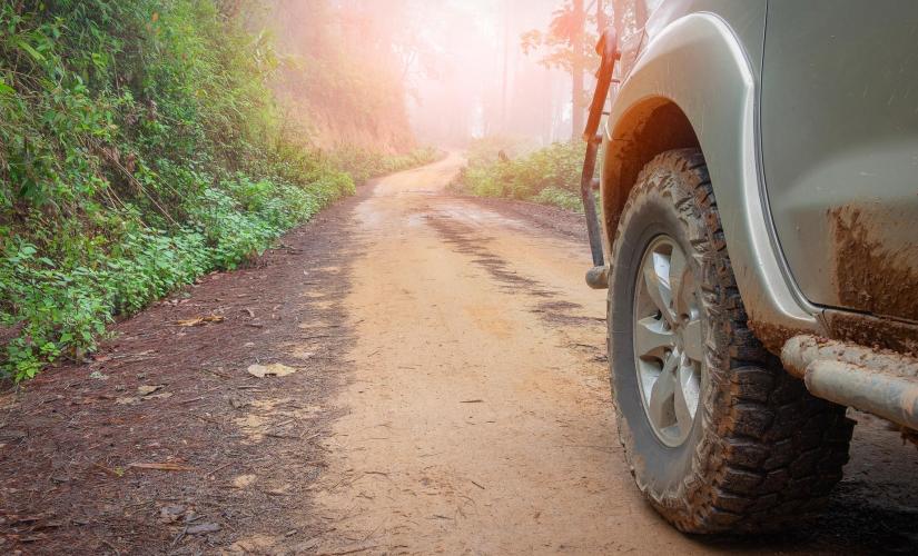 Jungle Jeep Adventure and Beach Break