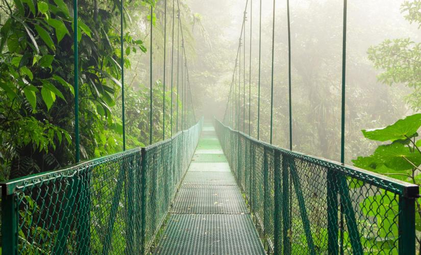 Shore Trips in Costa Rica| Puntarenas Area Highlights in Costa Rica