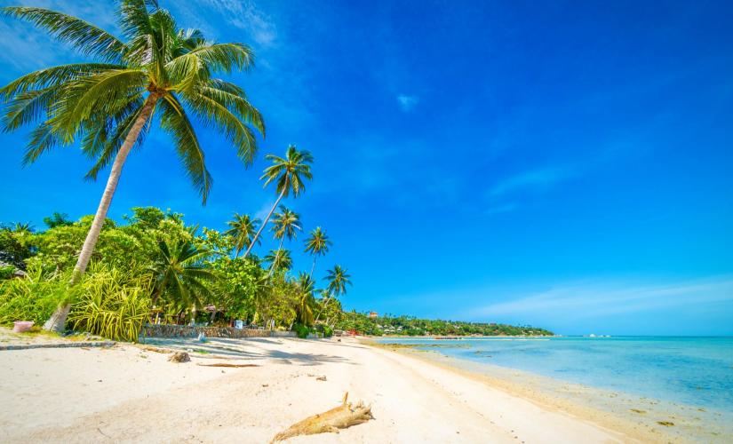 Costa Maya Beach Break (Beverages Only) (Kim's Group 2024)