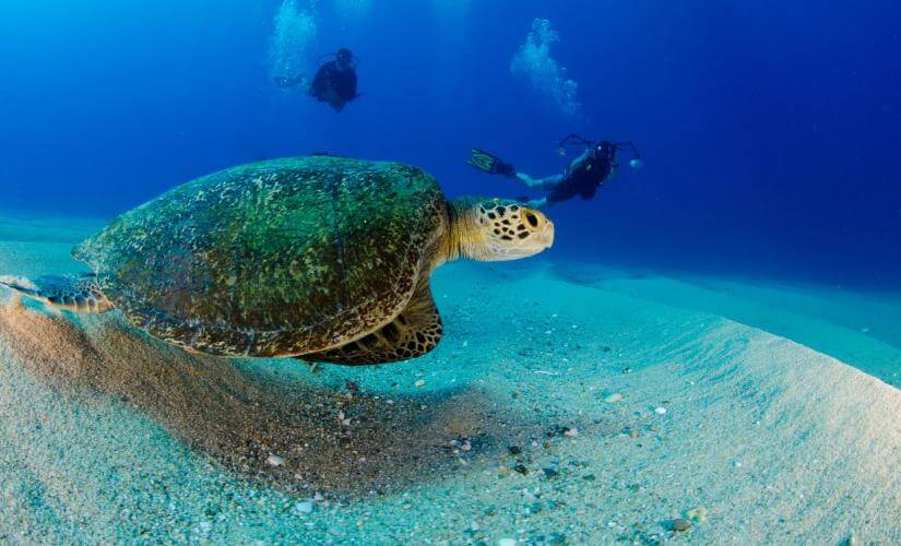 Advanced Deep Dive Adventure