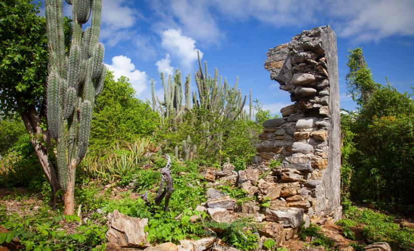 National Park Off Road Adventure Curacao (San Pedro Heights, Witch Craft Cave)