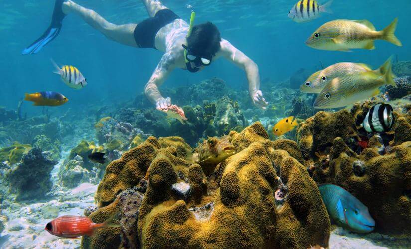 Private El Cielo Snorkeling