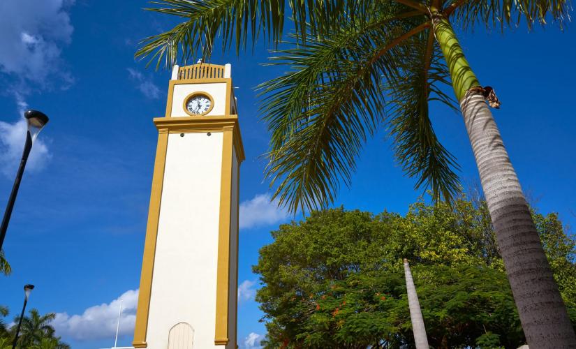 Best of Cozumel and Roatan Package