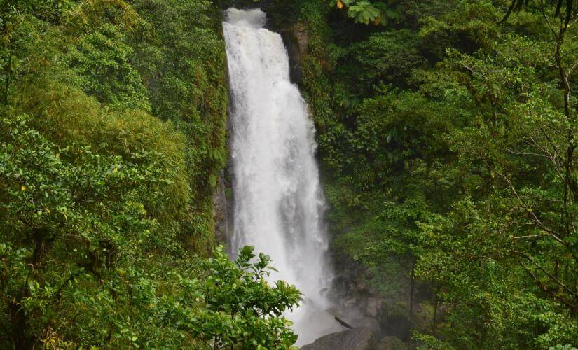 Private Jewels of Dominica (Vacations To Go)