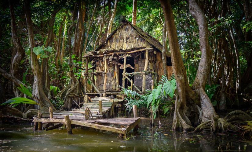 Dominica Nature Experience with Indian River and Garden Nursery Exploration