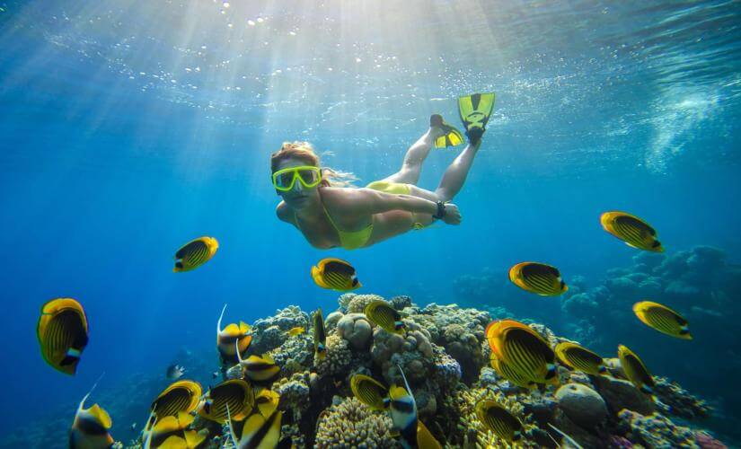 Private Champagne Beach Reef Snorkeling in Dominica (Lenz Group 2027)