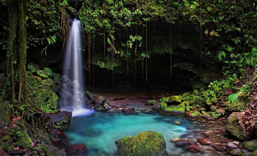 Private Tropical Dominica Waterfalls, and Rainforest Walk (The CTE Wind Surf Group 2027)