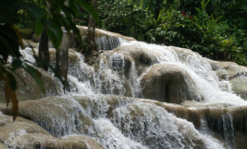 Dunn's River Falls and River Rapids Adventure with Lunch