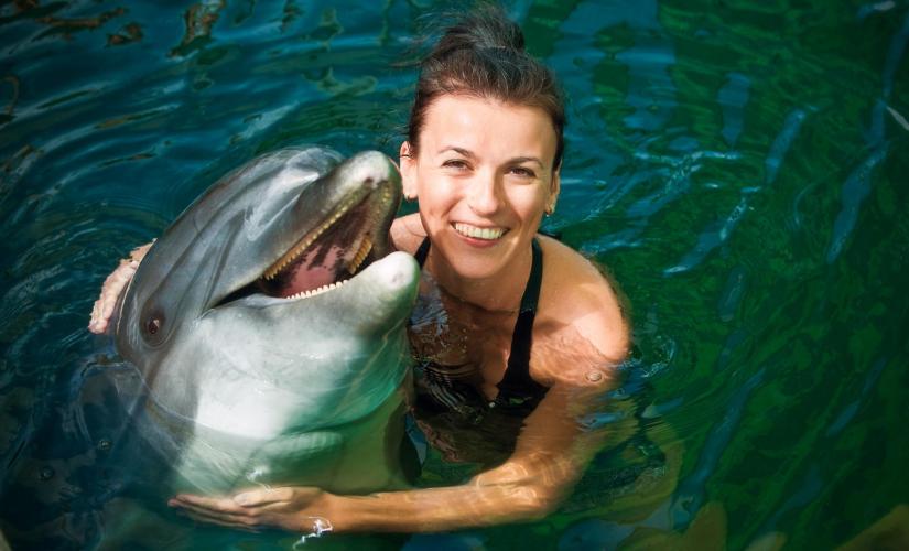 Dolphin Close Encounter Freeport Sanctuary Bay Dive In Bar and Grill