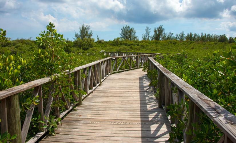Freeport Cruise Shore Excursions | Lucayan National Park & Cave Tour