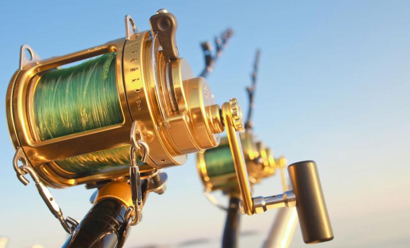 Fort Lauderdale Atlantic Deep Sea Fishing Trip Intracoastal Waterway