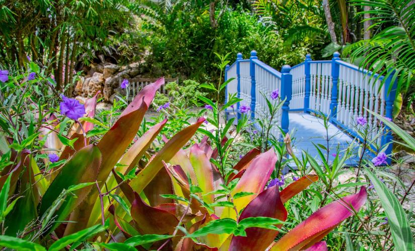 In-Depth Pedro St. James Castle & Botanical Gardens