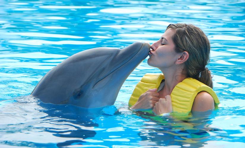 Dolphin Park Royal Swim Day Excursion