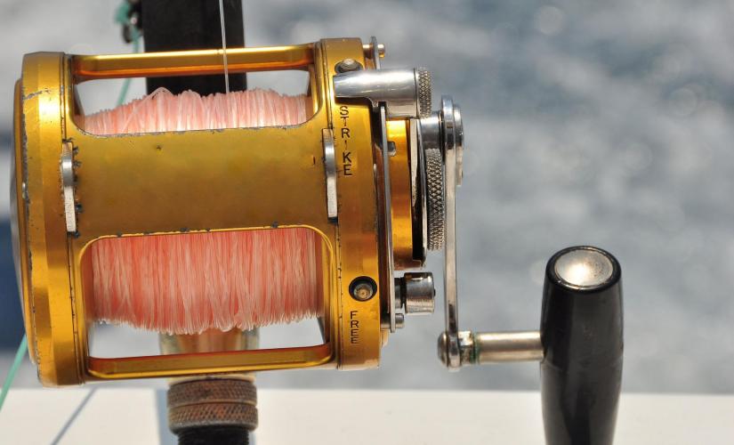 Grand Cayman Fishing Charter - Half Day Deep Sea Shore Trip